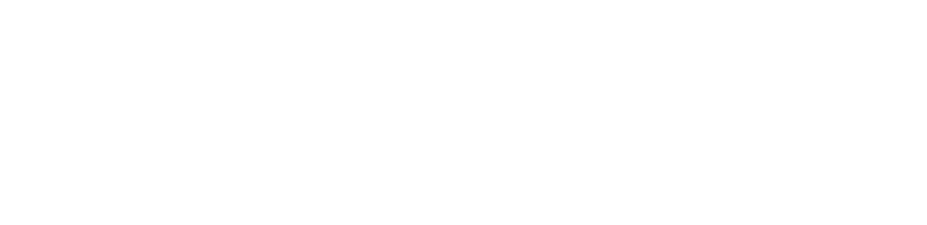 Servicios en Siniestros